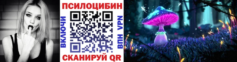 Псилоцибиновые грибы MAGIC MUSHROOMS  ссылка на мегу онион  Ардатов  где найти  